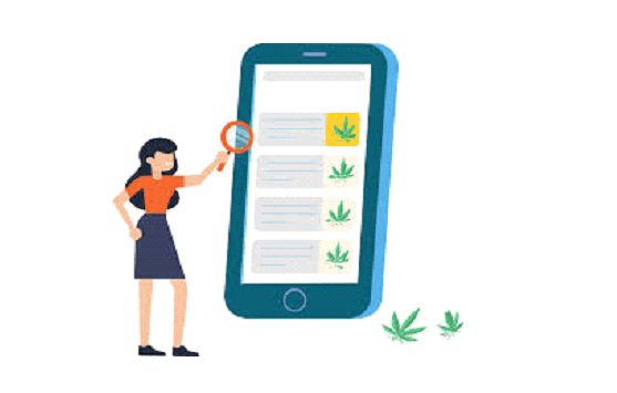 Cannabis SEO